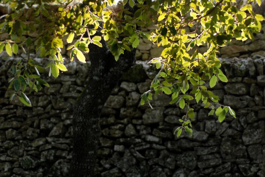 Agriturismo Iazzo Scagno Martina Franca Exterior photo