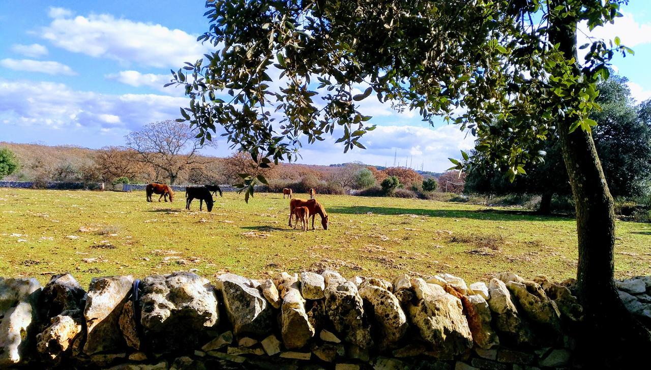 Agriturismo Iazzo Scagno Martina Franca Exterior photo