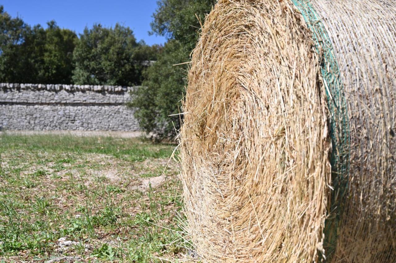 Agriturismo Iazzo Scagno Martina Franca Exterior photo